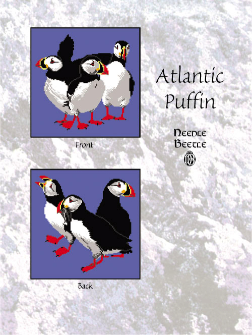 Atlantic Puffin - Chart